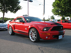 Mustang-IMG 2284.JPG